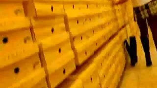 Щастливка с очила су ...