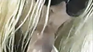 Младо момче камери с ...