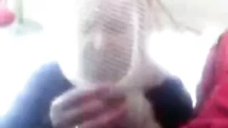 Красива мацка седна  ...